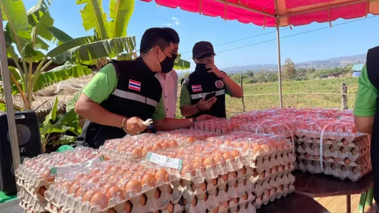 จิตอาสาจัดเตรียมไข่ไก่เพื่อแจกชาวบ้าน
